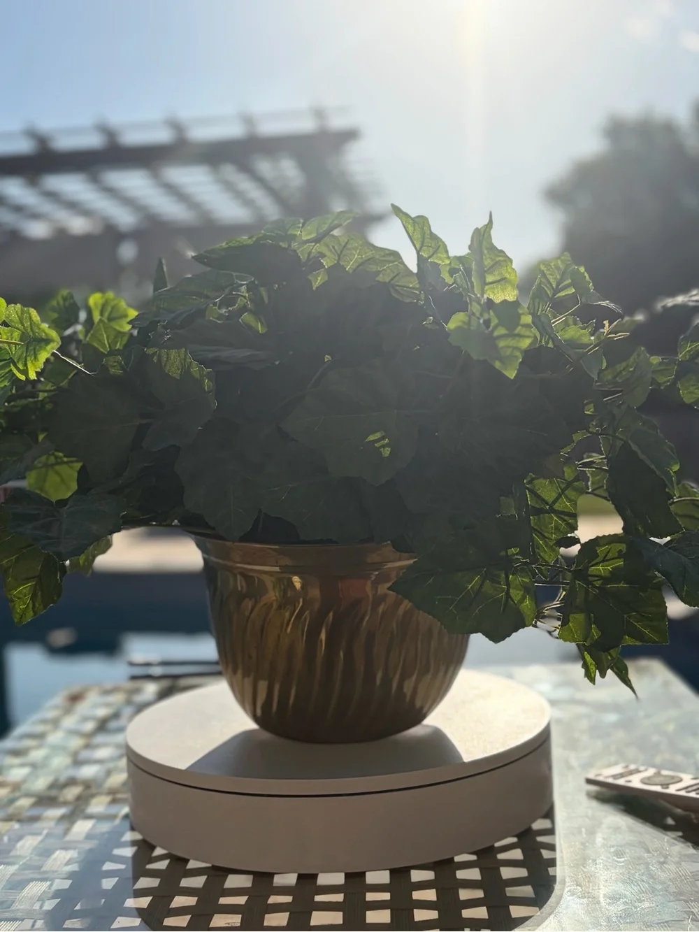 Vintage Indian Brass Planter – Ornate Decorative Flower Pot